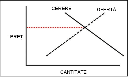 referat cererea si oferta